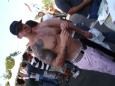 Thumbs/tn_Dsc03256.jpg