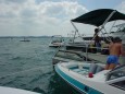 Thumbs/tn_Dsc01550.jpg