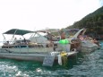 Thumbs/tn_Dsc01585.jpg
