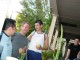 Thumbs/tn_Dsc03671.jpg